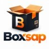 boxsap.com